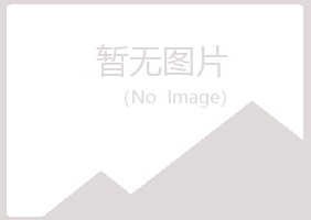 四川夏岚能源有限公司